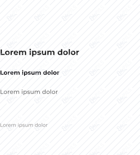 Main Preview