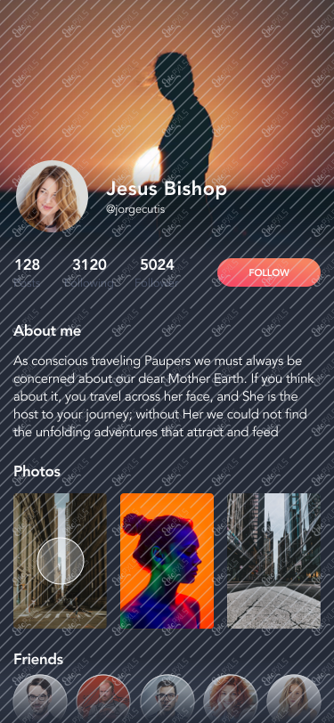 21_User profile 3