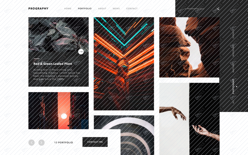 portfolio