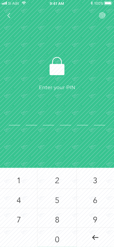 Enter Pin