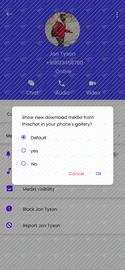 iPhone 13 Pro Max - 17