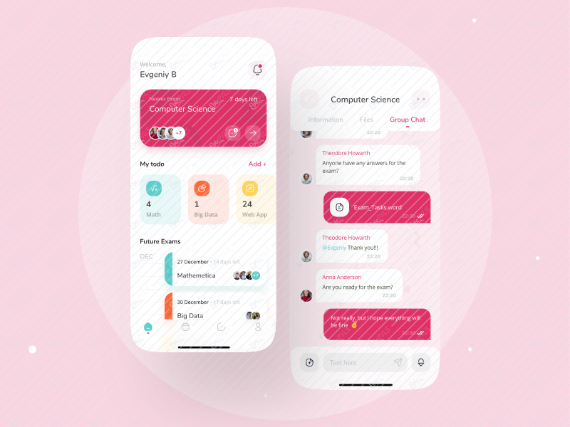 Team task Managment app UI