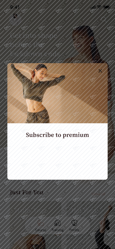 4. Course - Premium Prompt