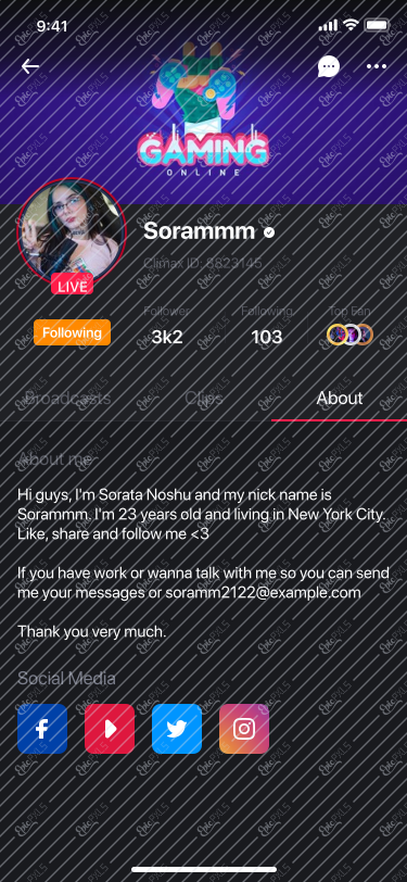 13. Streamer Profiles - About
