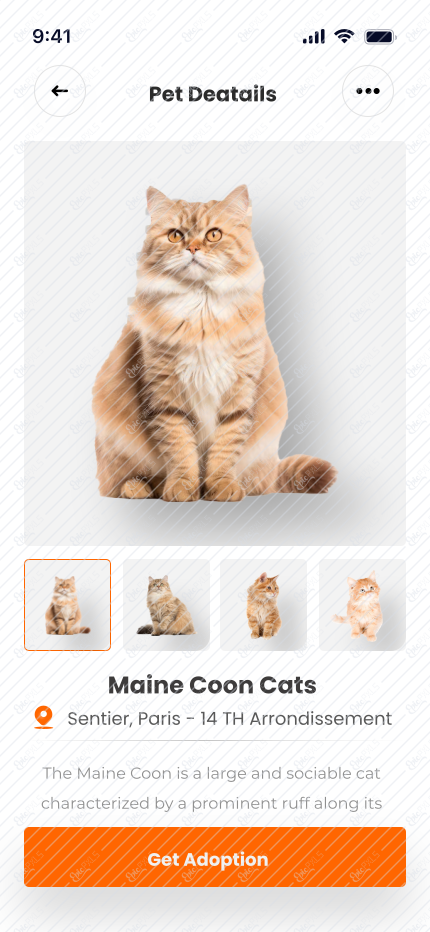 Pet Details
