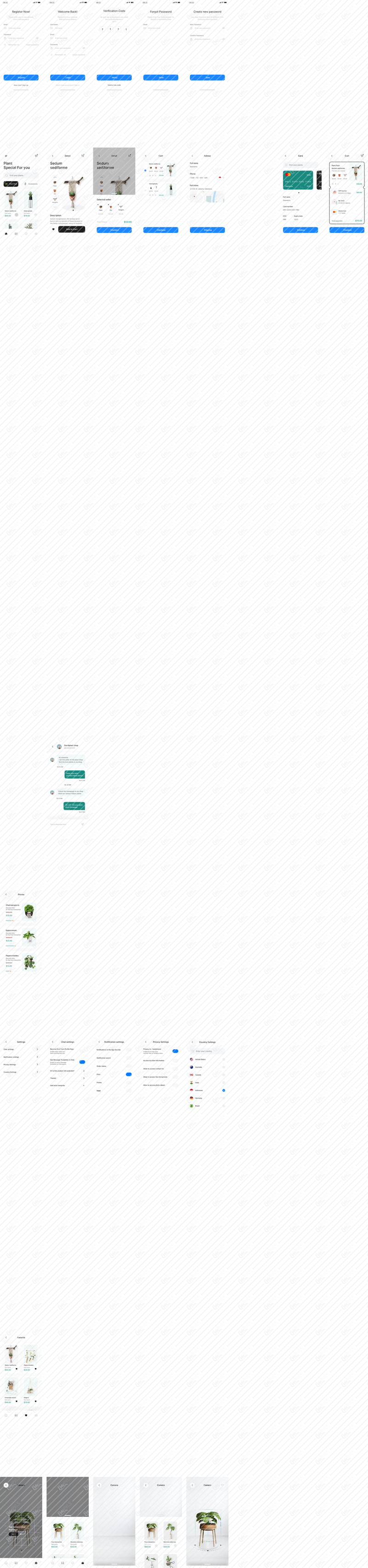 Main Preview