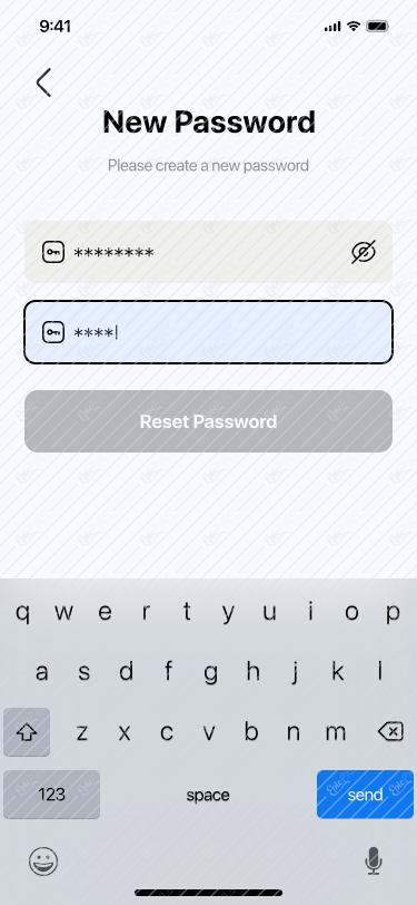 New Password Input