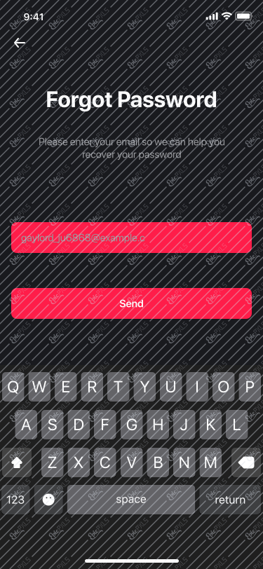 2. Forgot Password