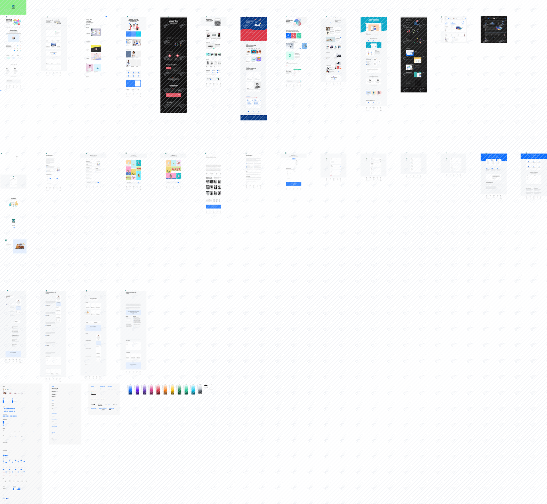 Main Preview