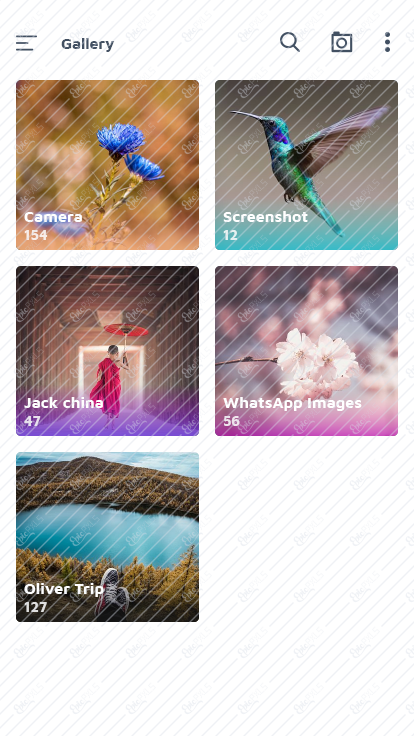Multimedia - 2