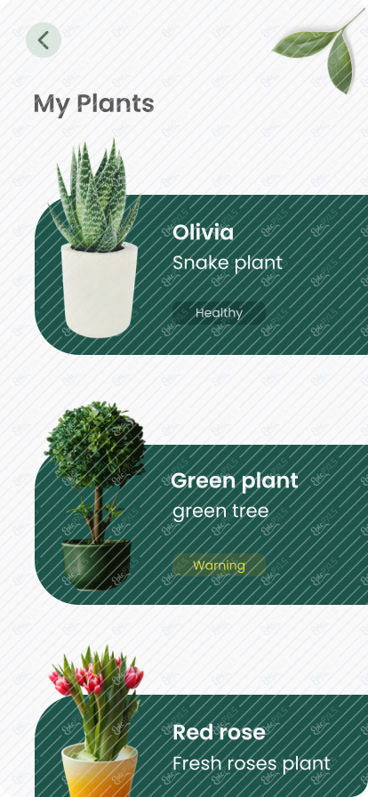 My Plants