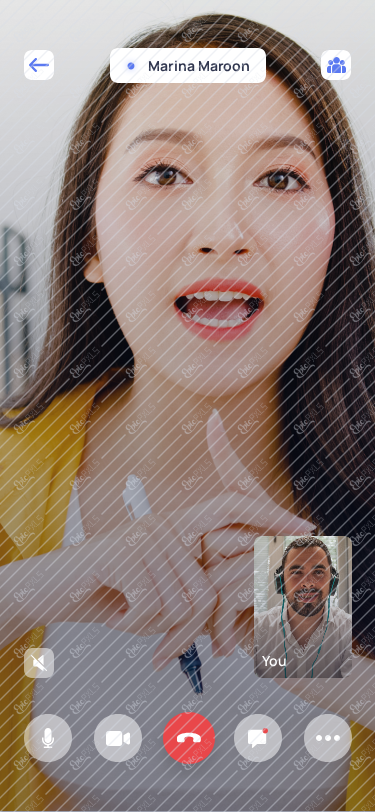 6.1 video conference