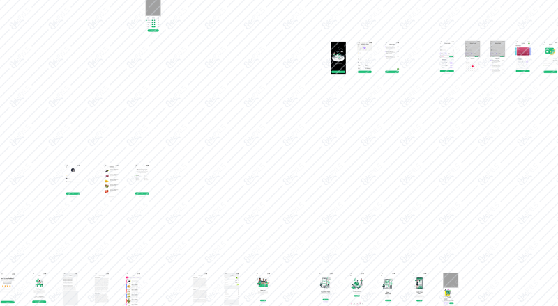 Main Preview