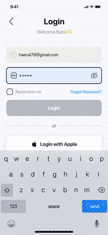 Login Input