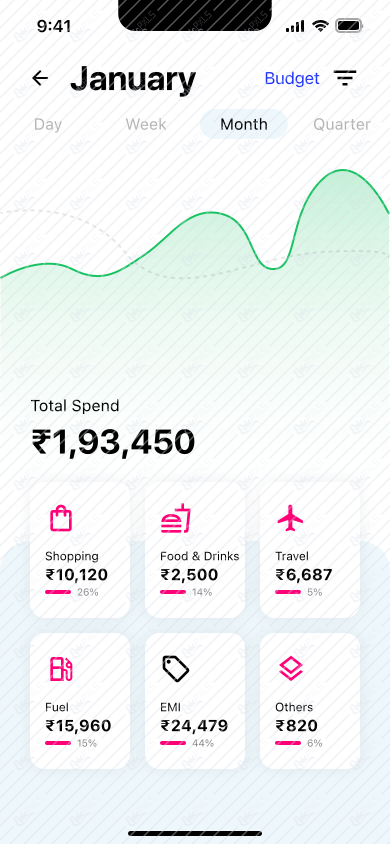26 expense report