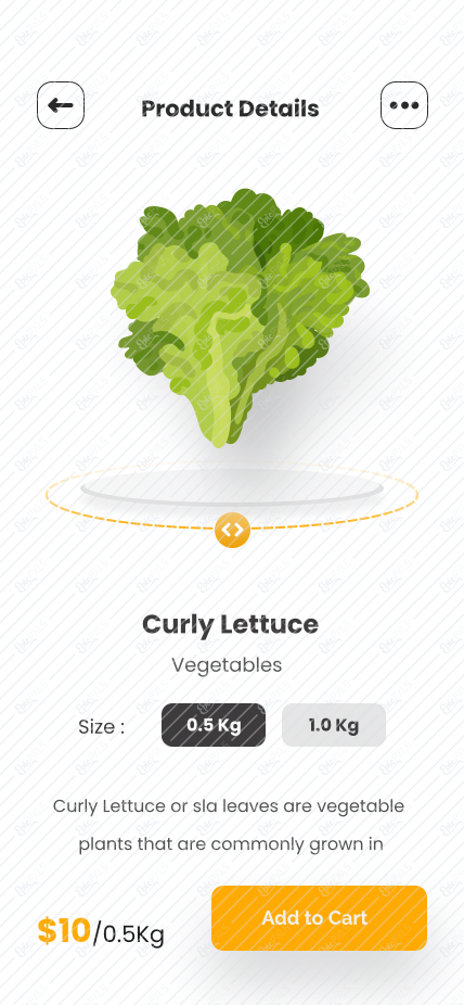 Descriptions Product 02