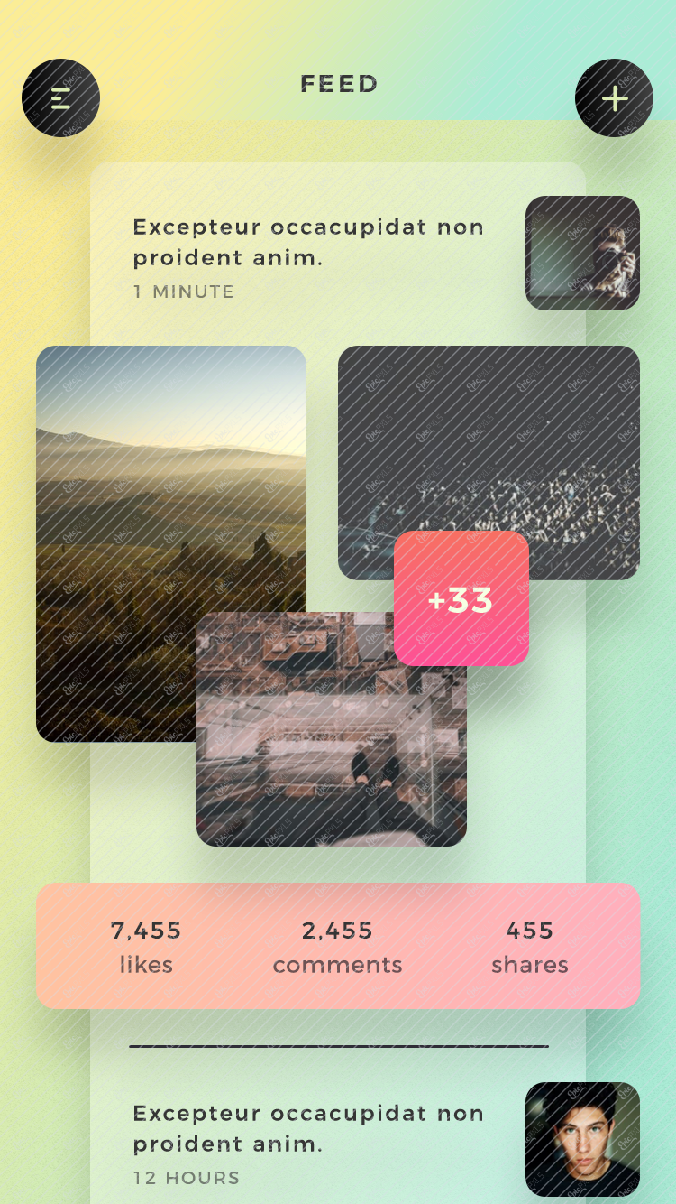 05_Feed_1