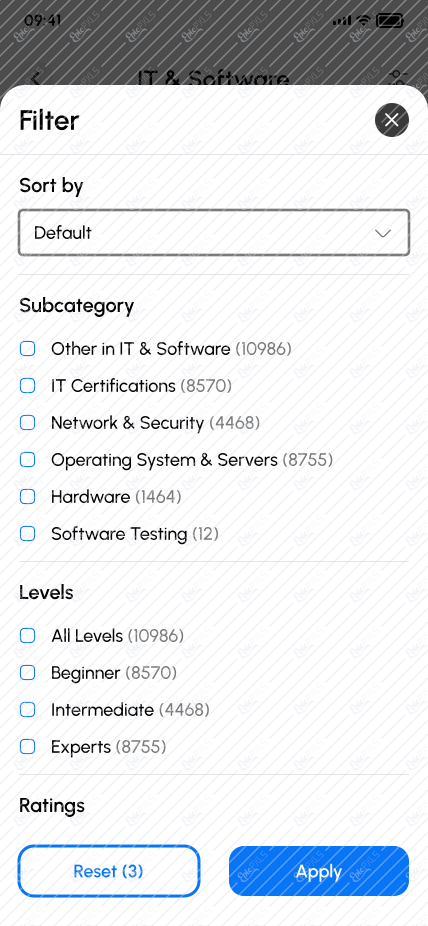 3.7 IT & Software Category filter