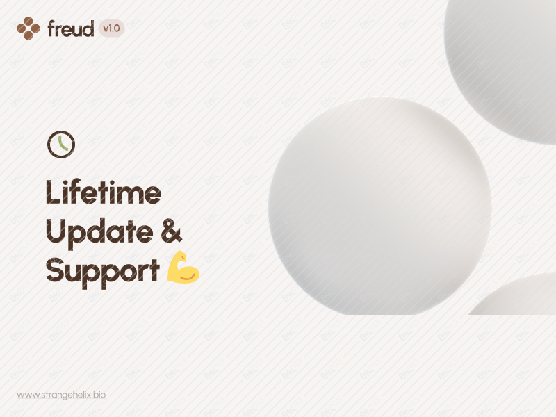 Lifetime Update Support