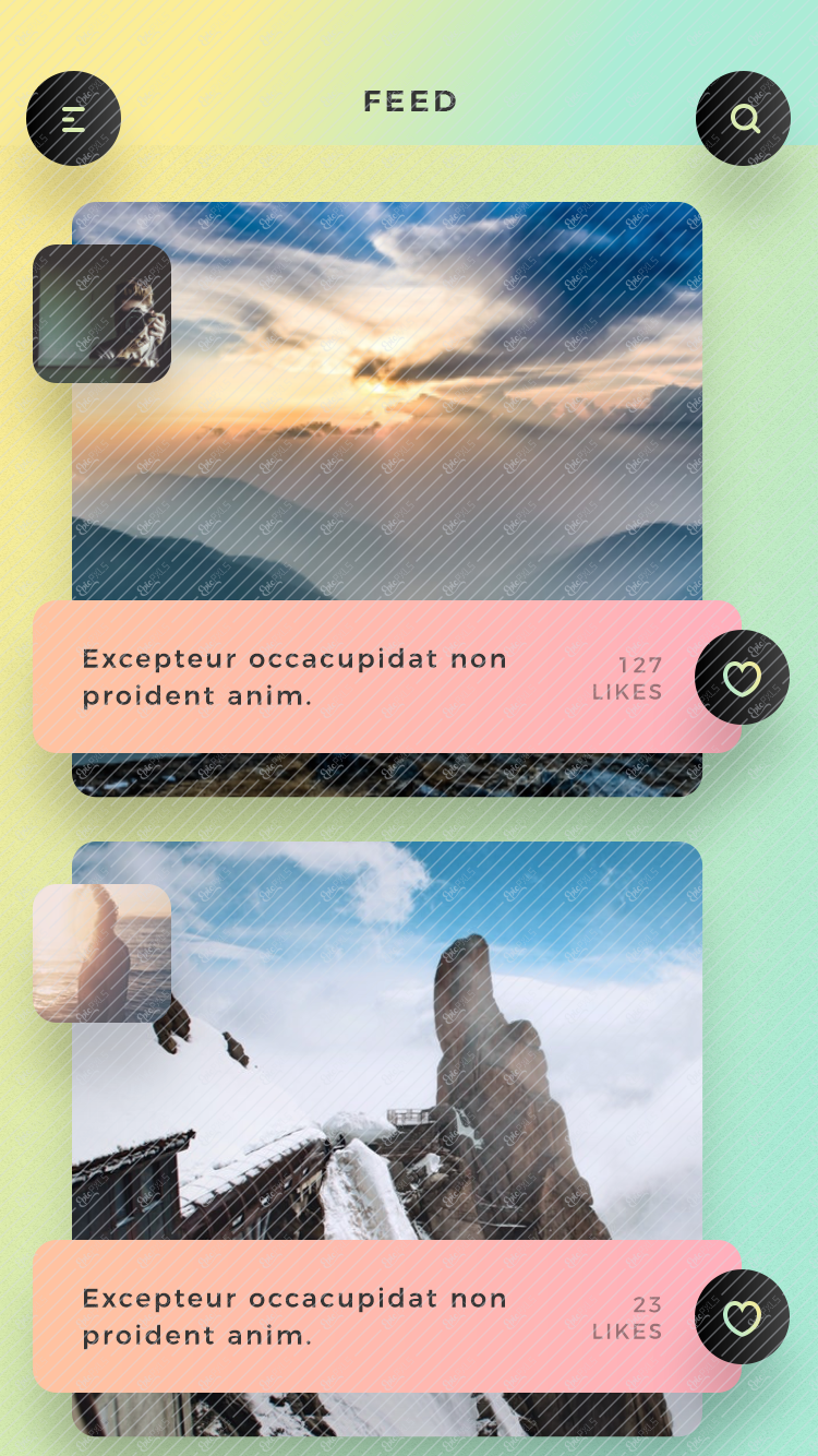 05_Feed_2