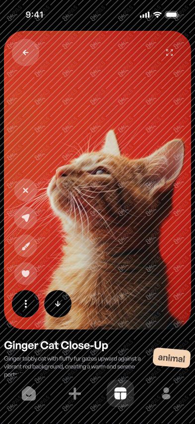 Collection image - controls