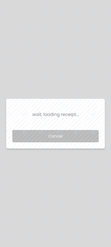Camera - Loading