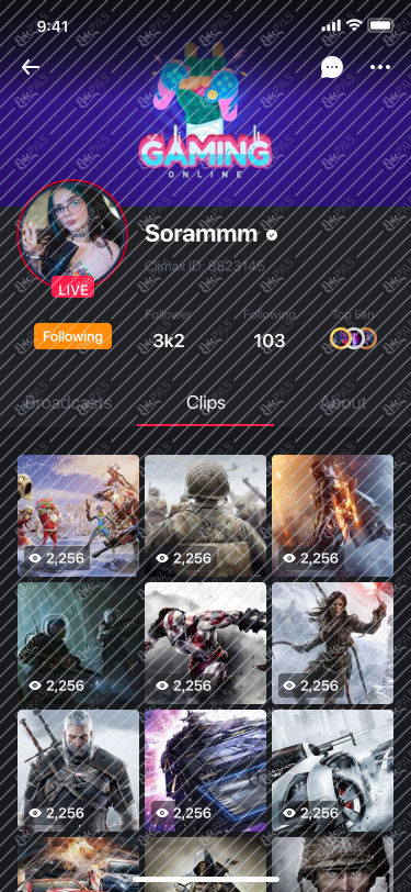 12. Streamer Profiles - Clips