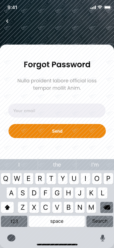 Forgot Password