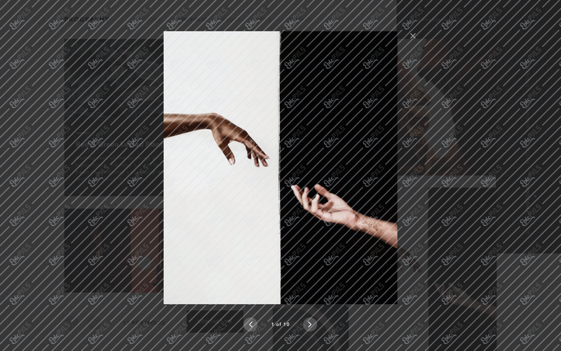 portfolio_view