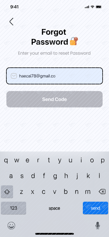 Forgot Password Input