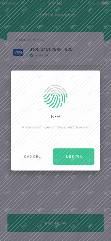 Payment Authentification