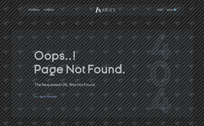 404 PAGE