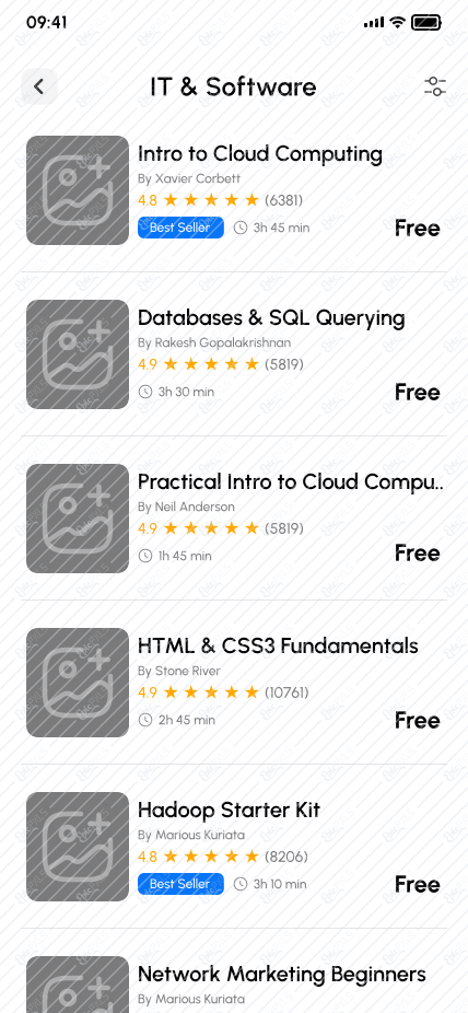 3.6 IT & Software Category Results