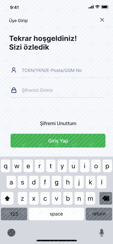 02 - Üye Girişi