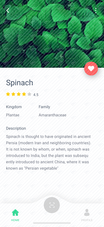 Detail Plant