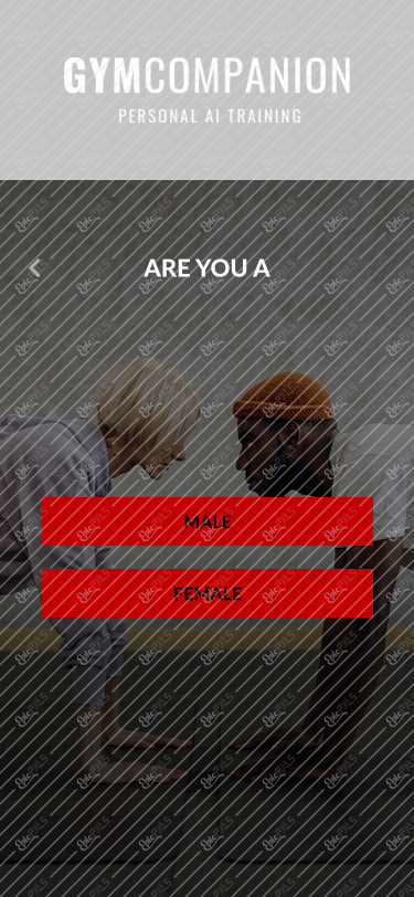 Selection Screen 1