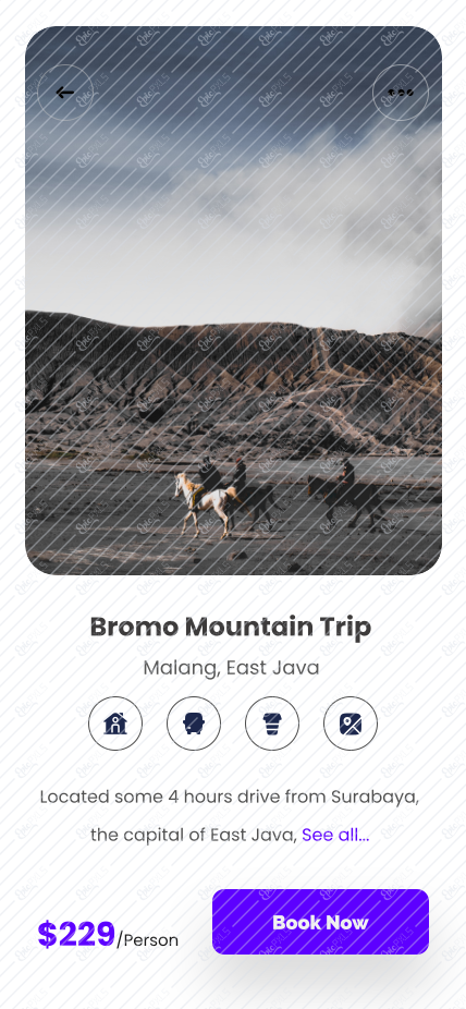 Descriptions Trips - Bromo Mountain Trip