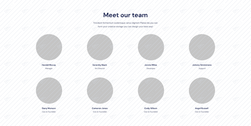 Team01