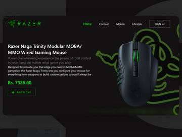 RAZER Landing Page Design