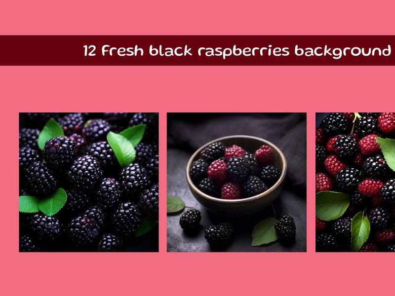 Fresh black raspberries background by Samiraas8891 ~ EpicPxls