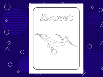 10 Pages Bird coloring page or books for kids. Vector illustration