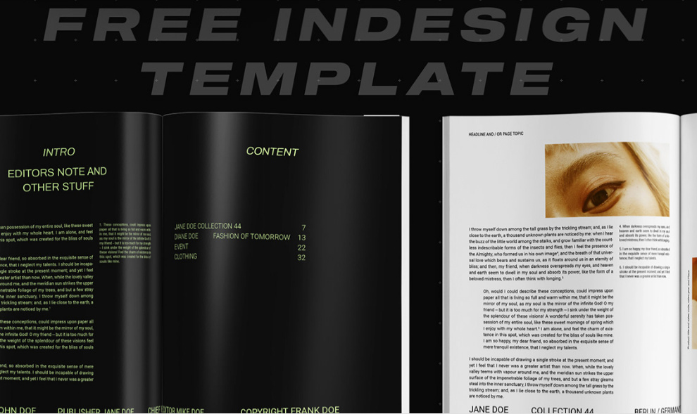 免费InDesign模板--时尚研究(Free InDesign Template - Fashion Study)插图2