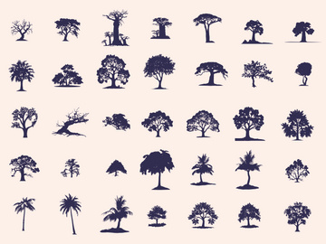Silhouettes Trees Set, Pine Tree fir pruce cedar white patch alder elm birch ash cypress beech palm tree.