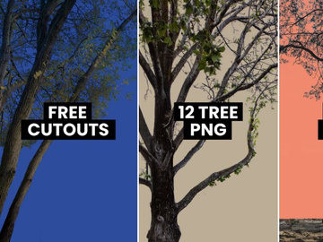 12 Tree PNG Cut Outs [FREE DOWNLOAD]