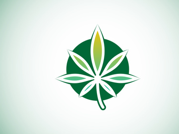 Marijuana leaf. Medical cannabis. Hemp oil. cannabis or marijuana leaf logo
