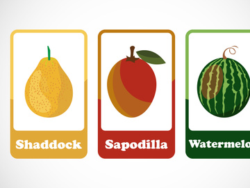 Fruit flashcards for kids. Educational cards for preschool. Printable vector illustration