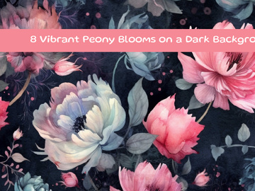 Vibrant Peony Blooms on a Dark Background