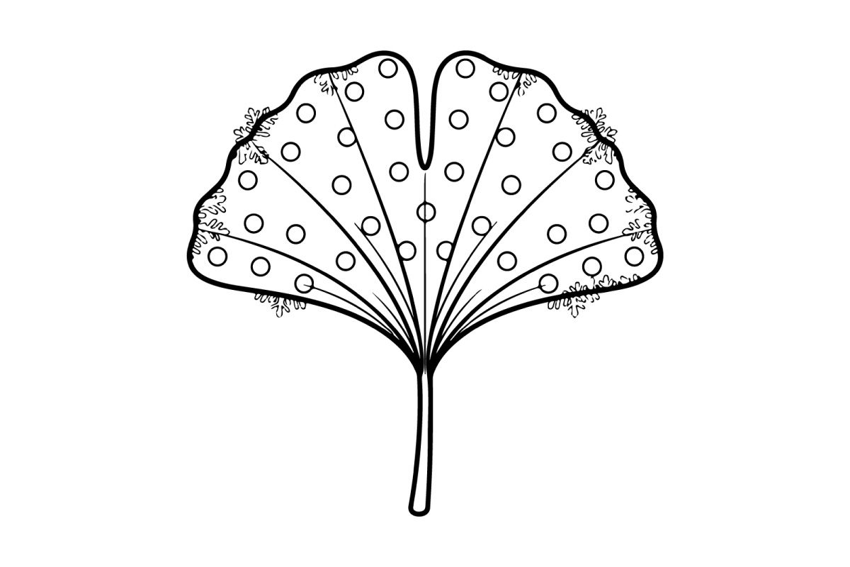 Zarte Schmetterlingsflügel-Illustration. Künstlerisches naturinspiriertes Design für kreative Projekte
