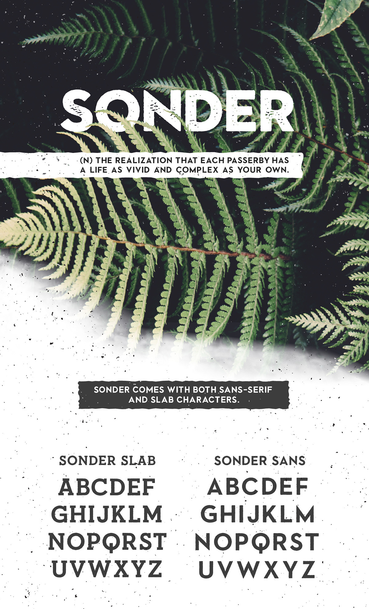 Sonder - 自由类型的家庭(Sonder - Free Type Family)插图