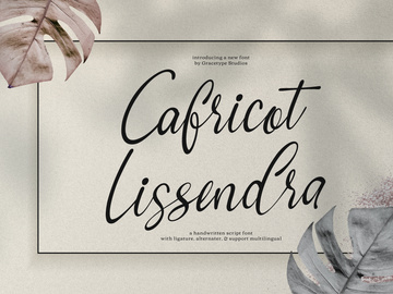 Cafricot Lissendra | Script Handwritten